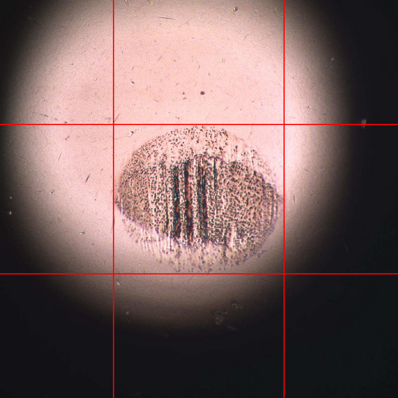 ASTM D6079 wear scar after AR6500